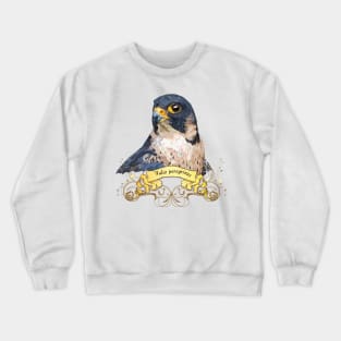 Peregrine falcon Crewneck Sweatshirt